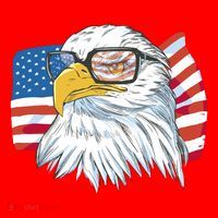 Patriot Cool Eagle USA Flag Santa Hat thumb 1