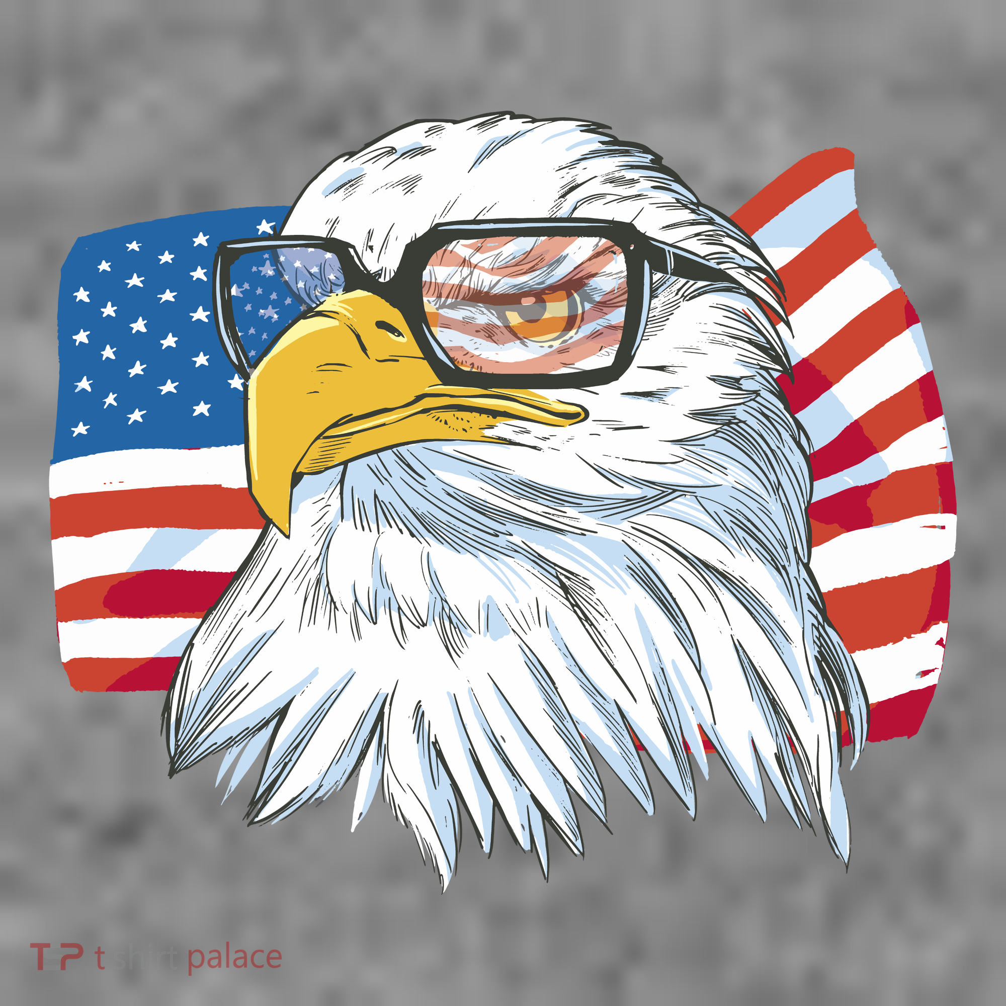 Patriot Cool Eagle USA Flag Long Sleeve Shirt