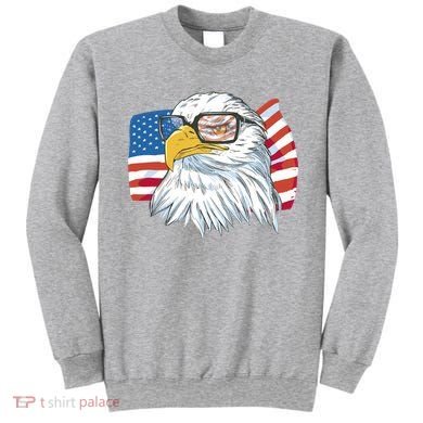 Patriot Cool Eagle USA Flag Sweatshirt