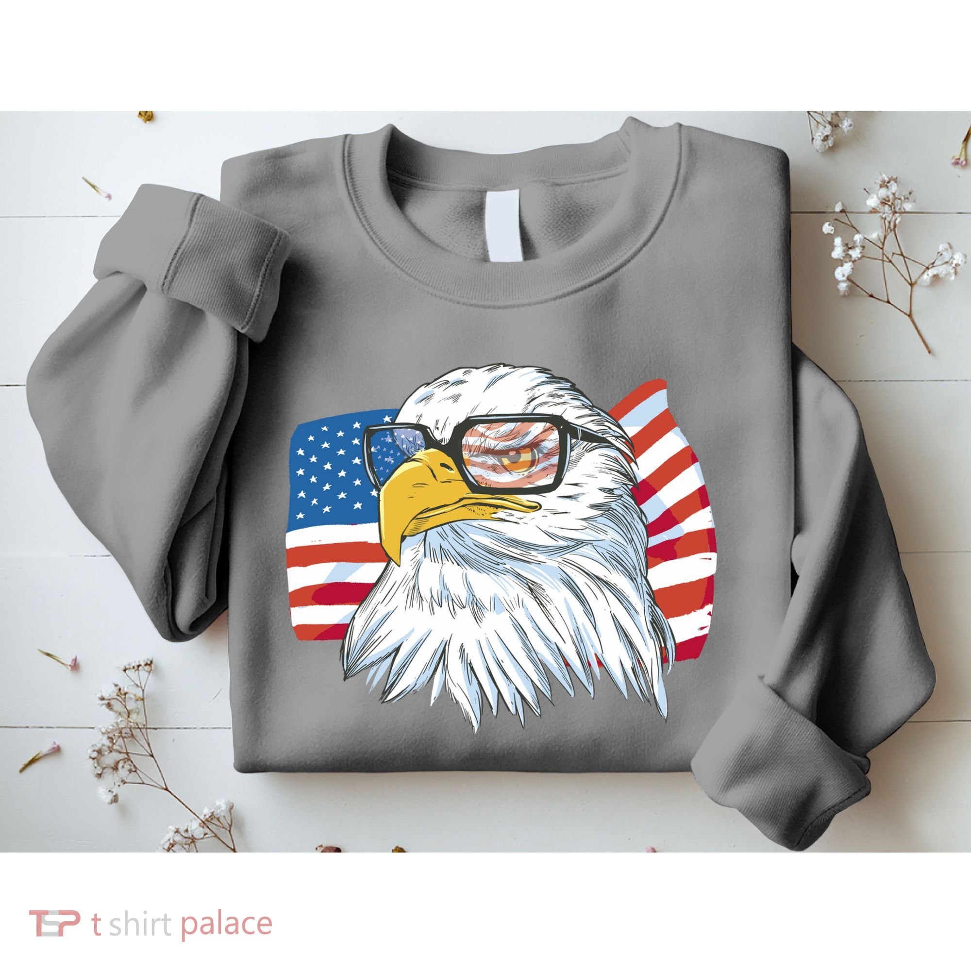 Patriot Cool Eagle USA Flag Sweatshirt