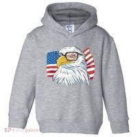 Patriot Cool Eagle USA Flag Toddler Hoodie thumb 0