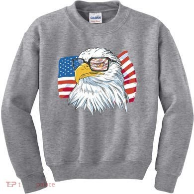 Patriot Cool Eagle USA Flag Kids Sweatshirt