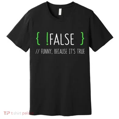 Programmer Computer Engineer Funny False Programming Coding Premium T-Shirt