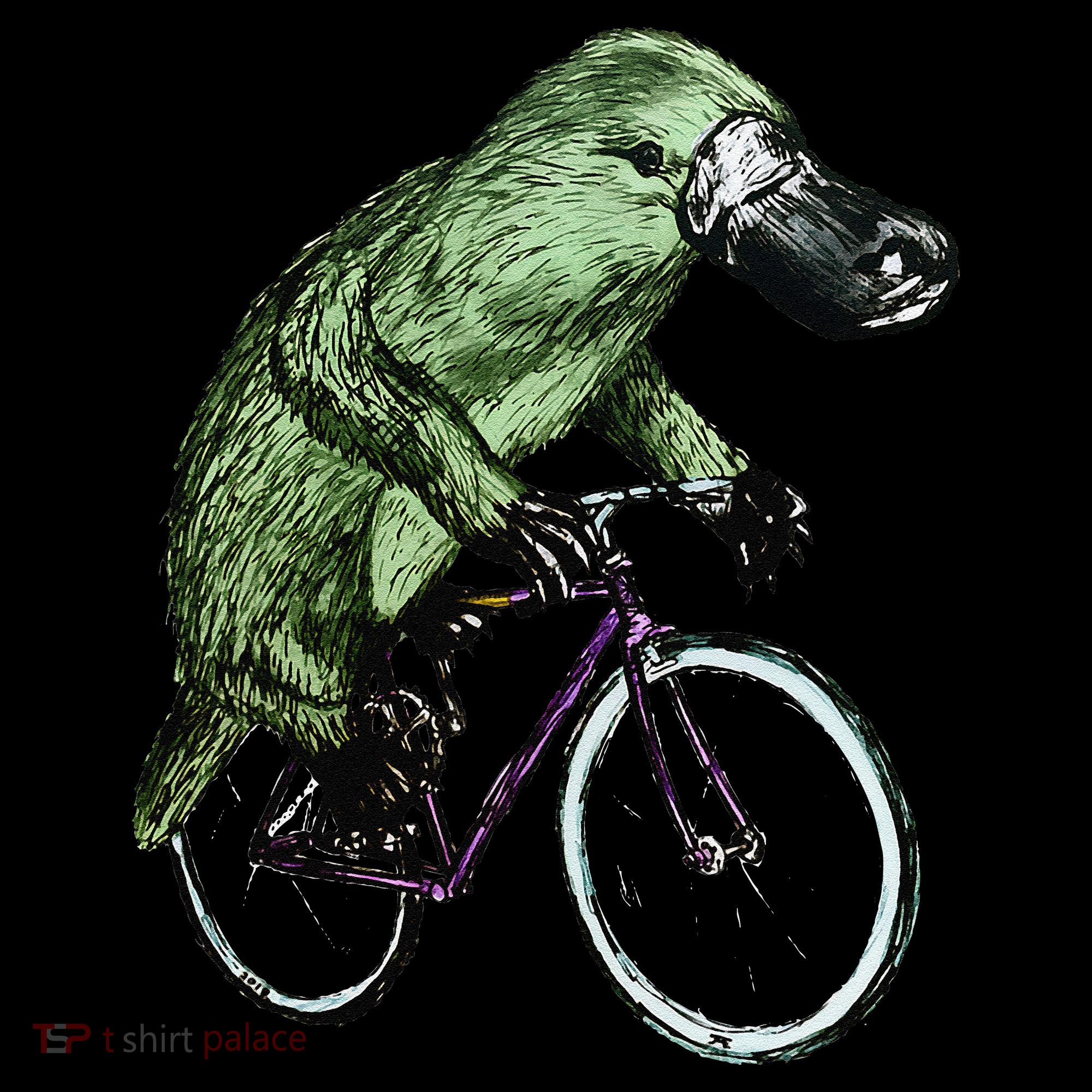 Platypus Cycling Funny Platypus Lover Platypus Bicycle Women's Hoodie