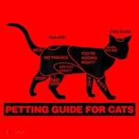 Petting Chart For A Cat Funny How To Pet A Cat Meme Santa Hat thumb 1