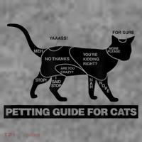 Petting Chart For A Cat Funny How To Pet A Cat Meme Toddler Hoodie thumb 2
