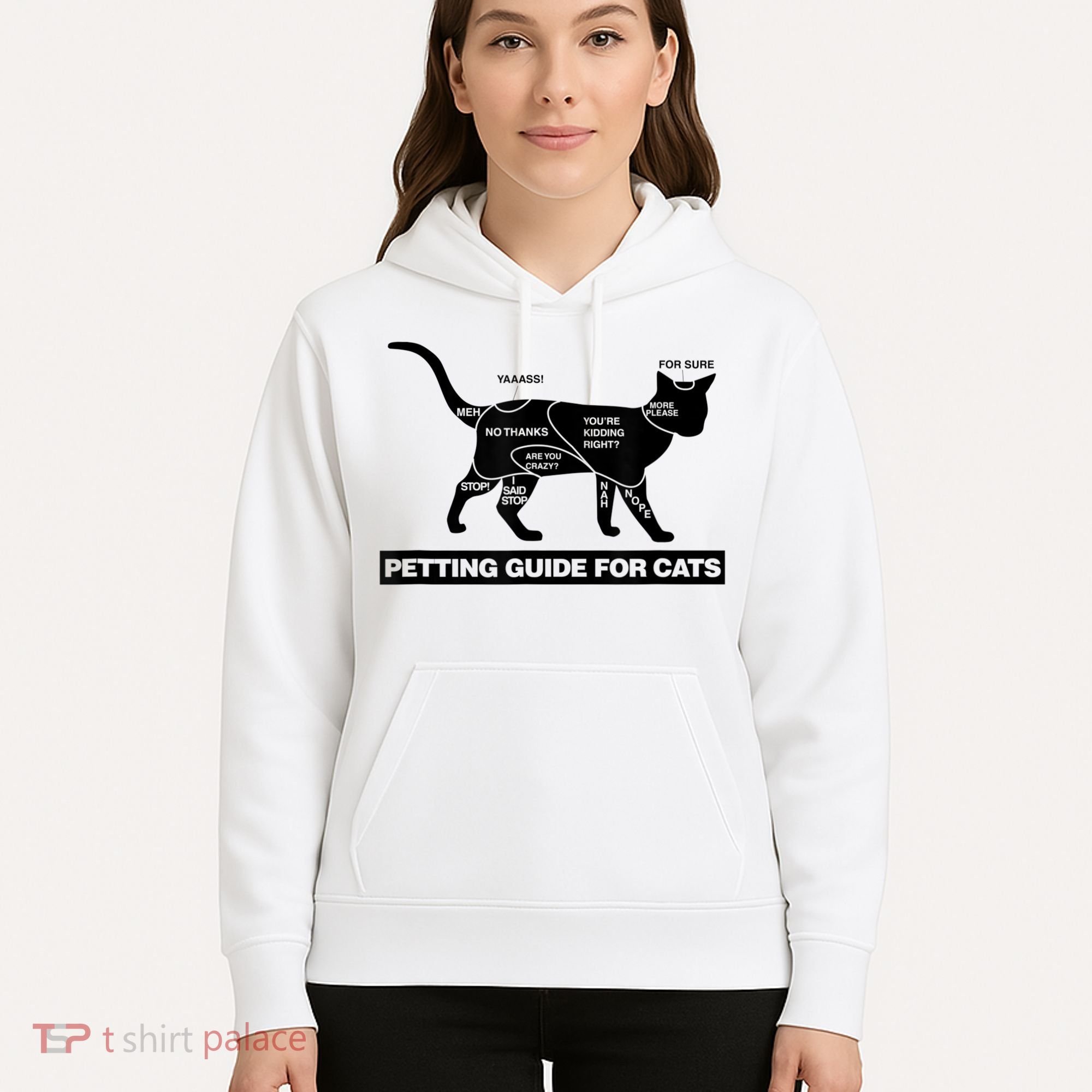 Petting Chart For A Cat Funny How To Pet A Cat Meme Hoodie