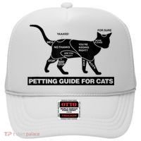 Petting Chart For A Cat Funny How To Pet A Cat Meme Hat thumb 0