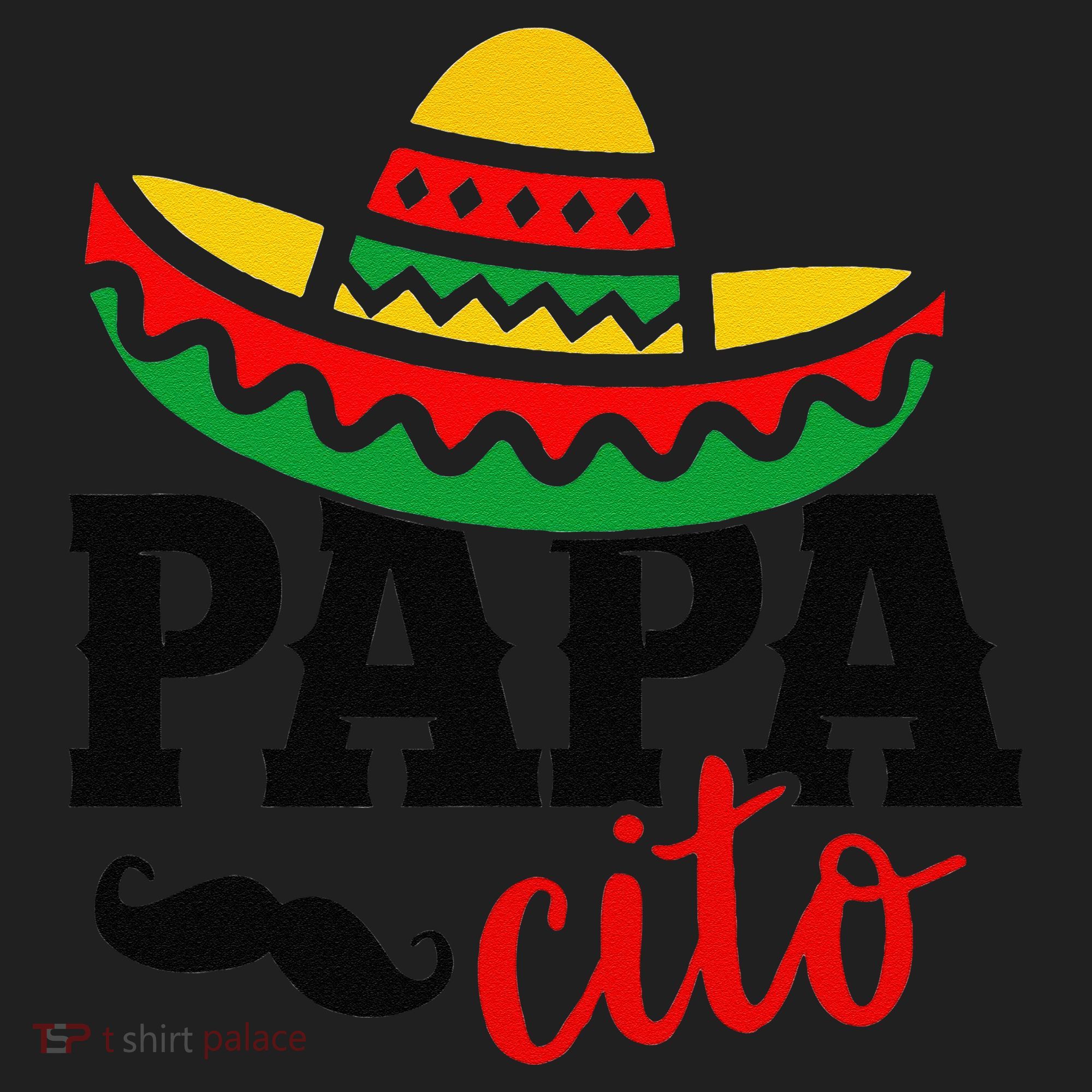 Papa Cito Fathers Day Funny Mexican Cico De Mayo Dad Tumbler