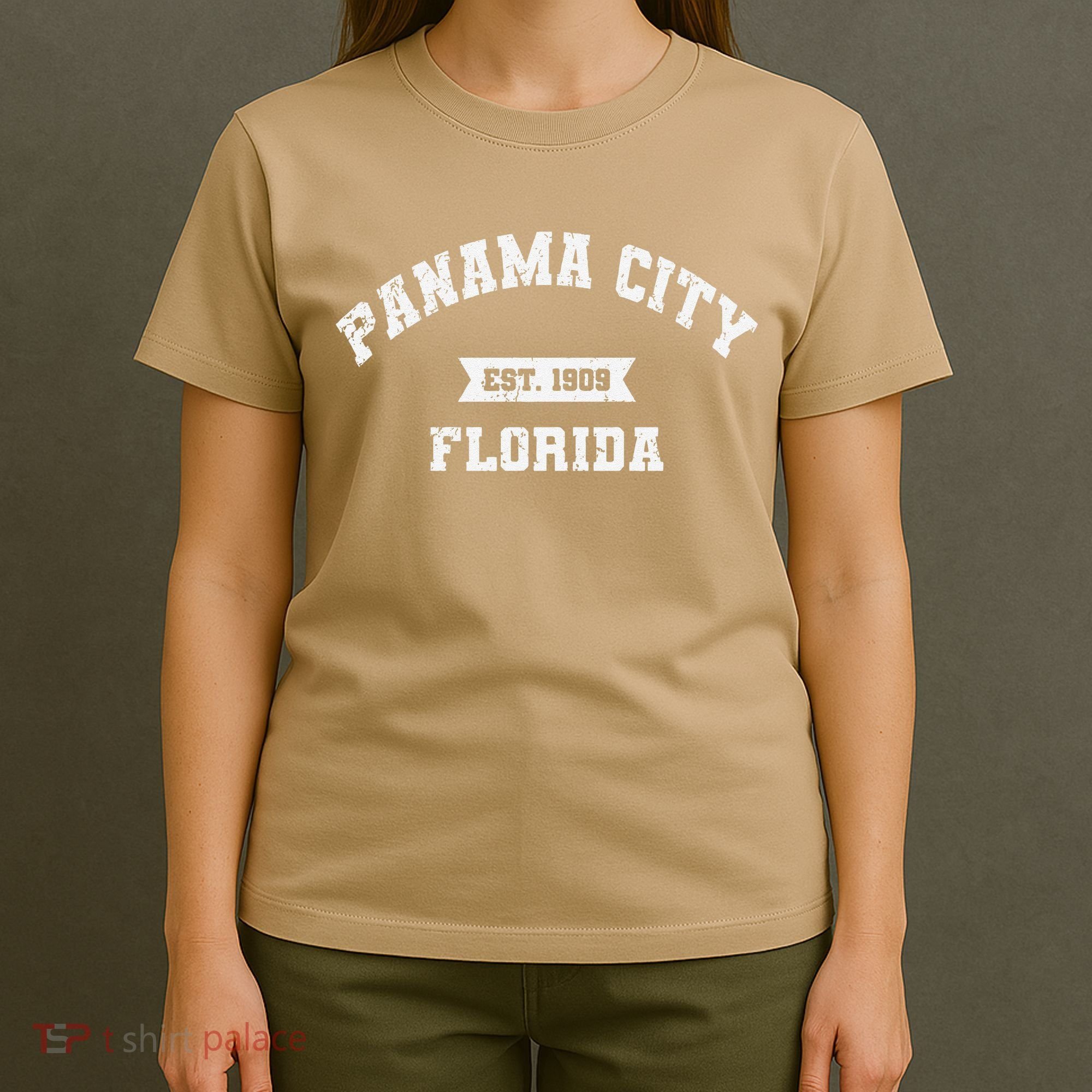Panama City Florida Fl Vintage Athletic Established T-Shirt