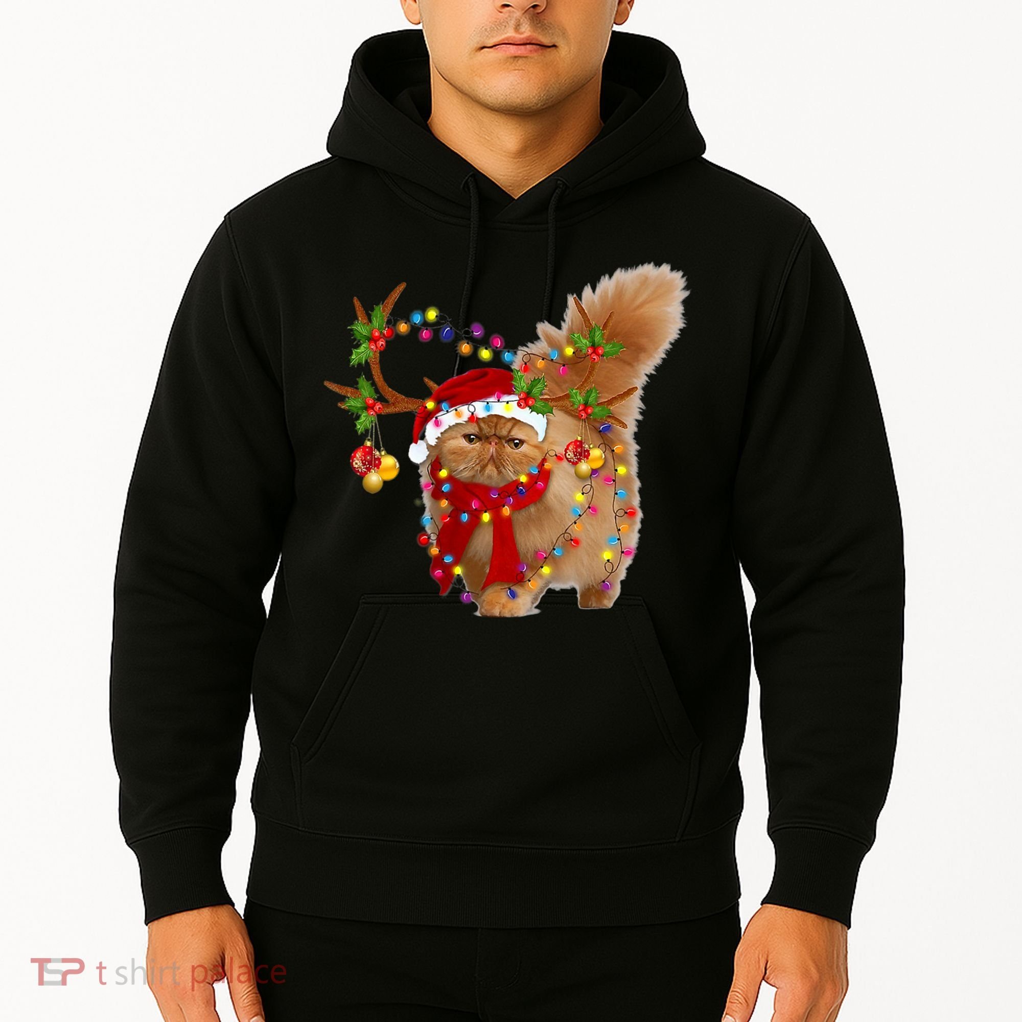 Persian Cat Gorgeous Reindeer Christmas Tree Light Xmas Hoodie