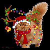 Persian Cat Gorgeous Reindeer Christmas Tree Light Xmas Women's Hoodie thumb 2
