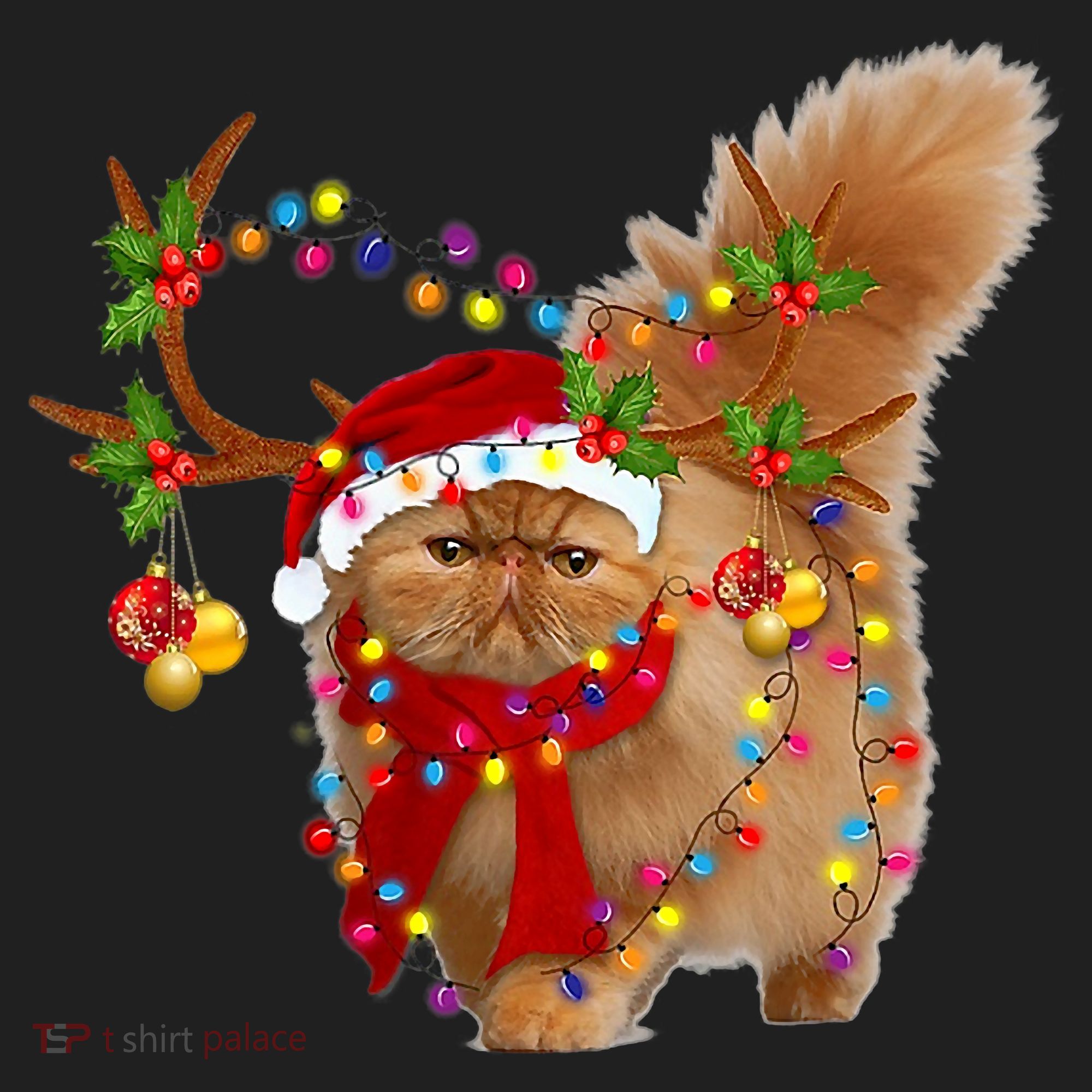 Persian Cat Gorgeous Reindeer Christmas Tree Light Xmas Hat