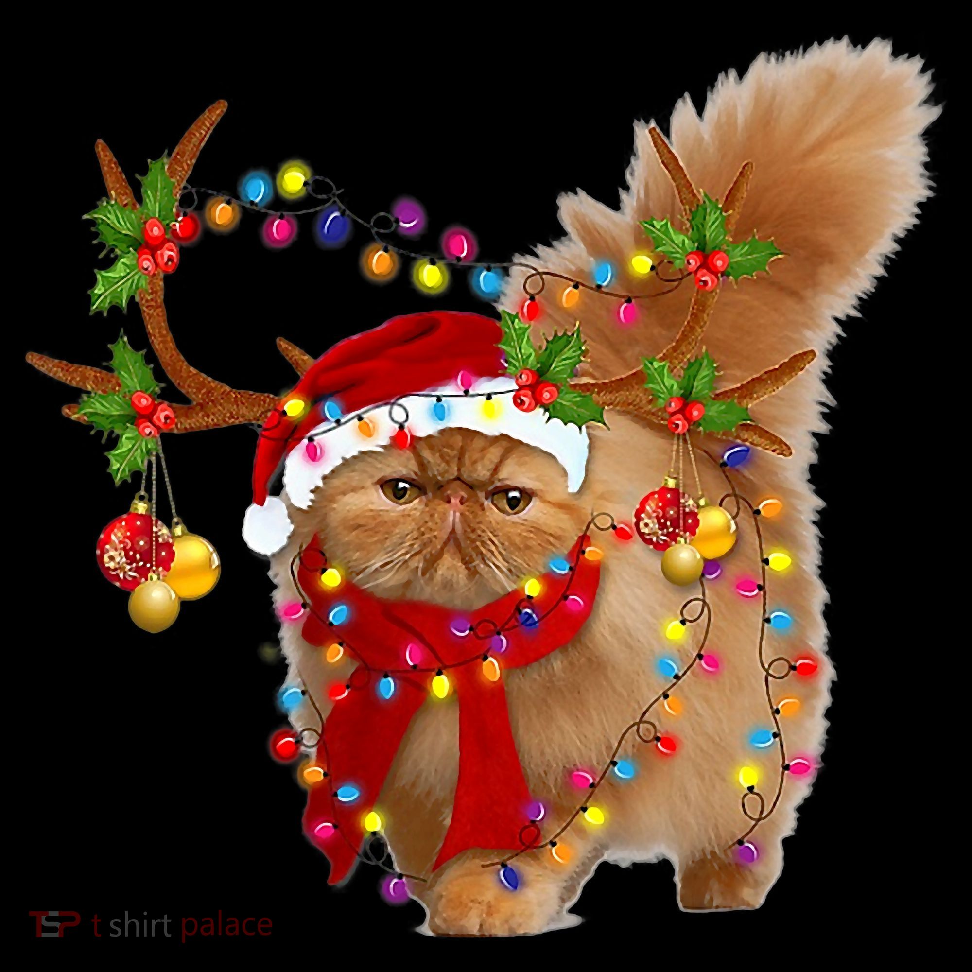 Persian Cat Gorgeous Reindeer Christmas Tree Light Xmas Women's T-Shirt