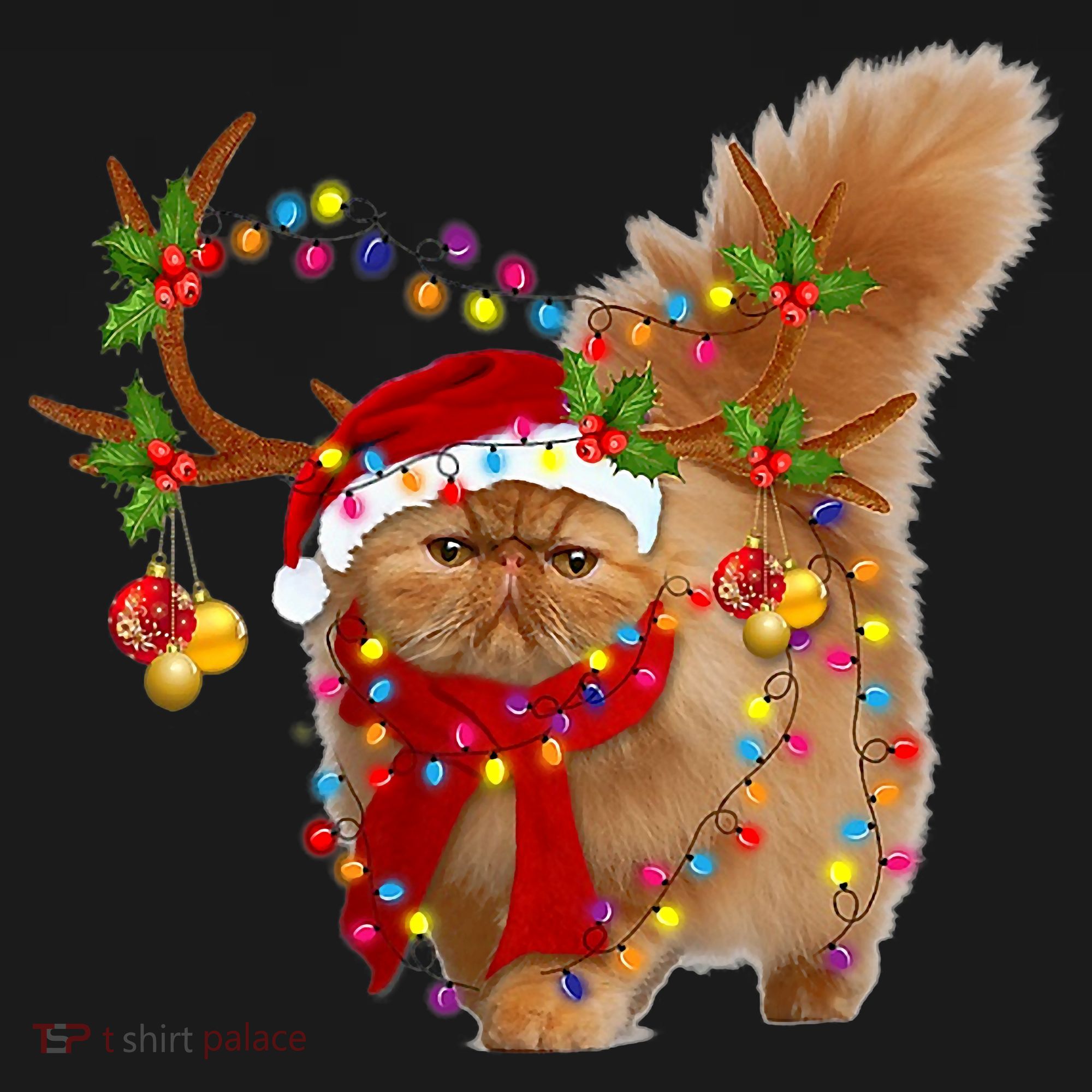 Persian Cat Gorgeous Reindeer Christmas Tree Light Xmas Kids Long Sleeve Shirt