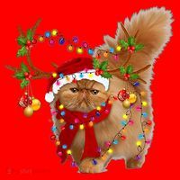 Persian Cat Gorgeous Reindeer Christmas Tree Light Xmas Santa Hat thumb 1