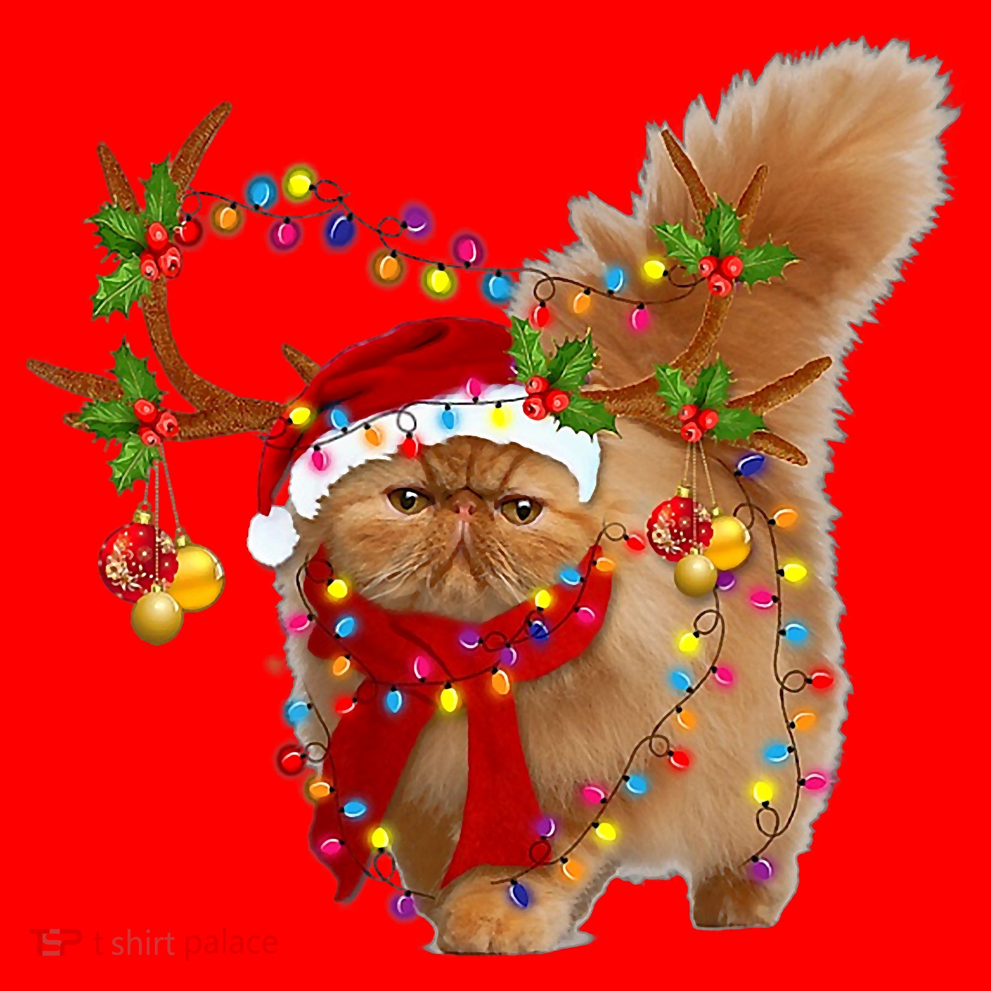 Persian Cat Gorgeous Reindeer Christmas Tree Light Xmas Santa Hat