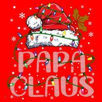 Papa Claus Gift For Christmas Lights Santa Hat thumb 1