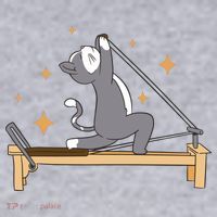 Pilates Cat Lover Funny Women's Sweatshirt thumb 2