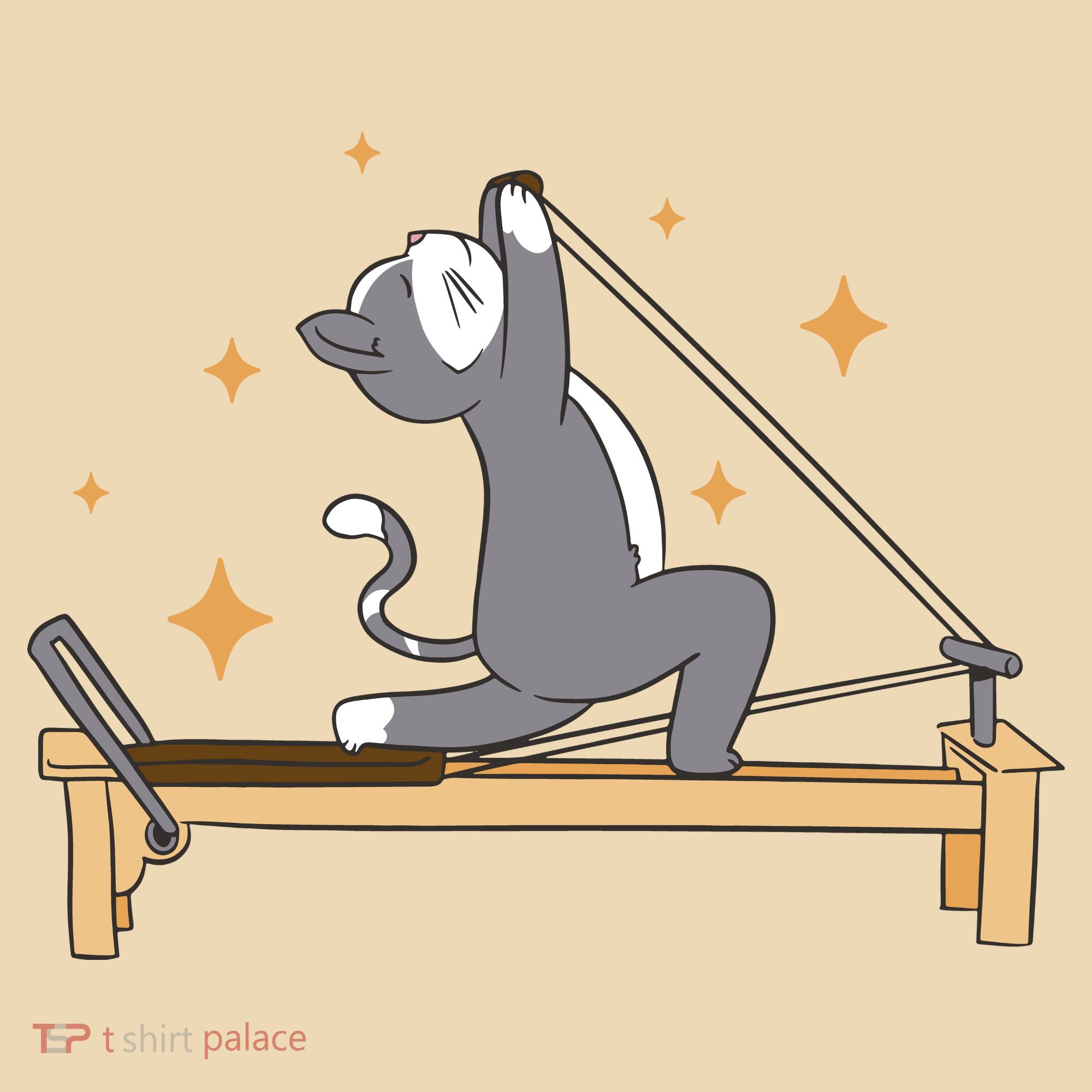 Pilates Cat Lover Funny Tote Bag