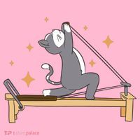 Pilates Cat Lover Funny Coaster thumb 2