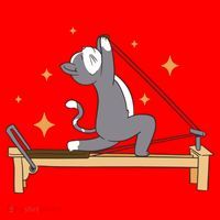 Pilates Cat Lover Funny Santa Hat thumb 1