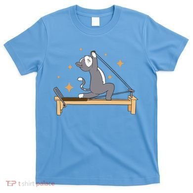 Pilates Cat Lover Funny T-Shirt
