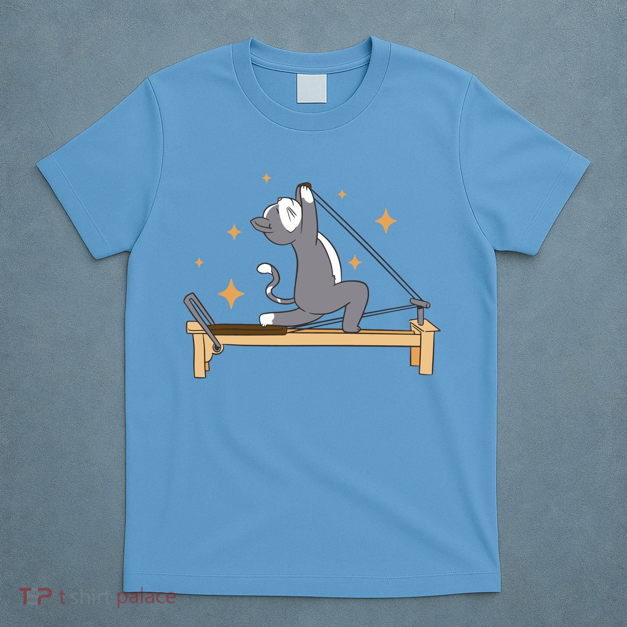 Pilates Cat Lover Funny T-Shirt