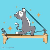 Pilates Cat Lover Funny Kids T-Shirt thumb 4