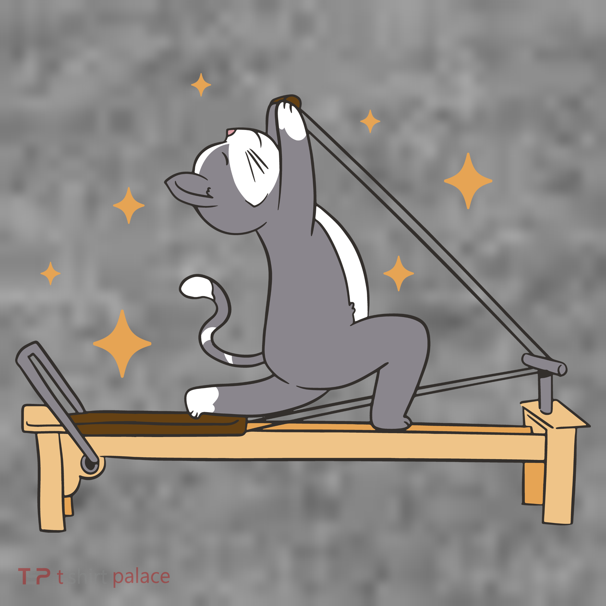 Pilates Cat Lover Funny Toddler Hoodie