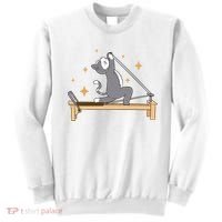 Pilates Cat Lover Funny Sweatshirt thumb 0