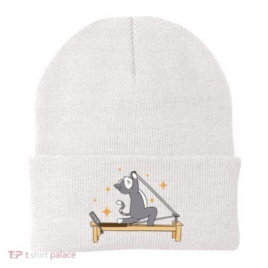 Pilates Cat Lover Funny Beanie