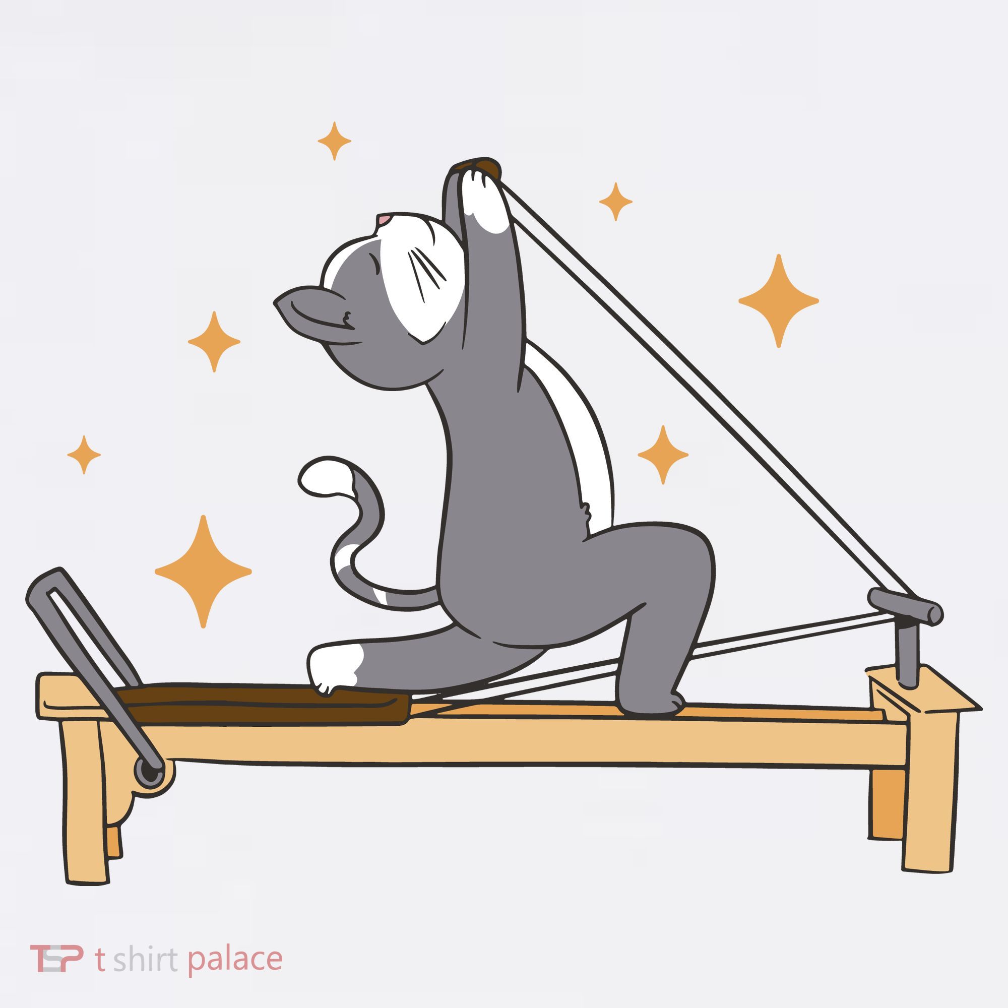 Pilates Cat Lover Funny Mousepad
