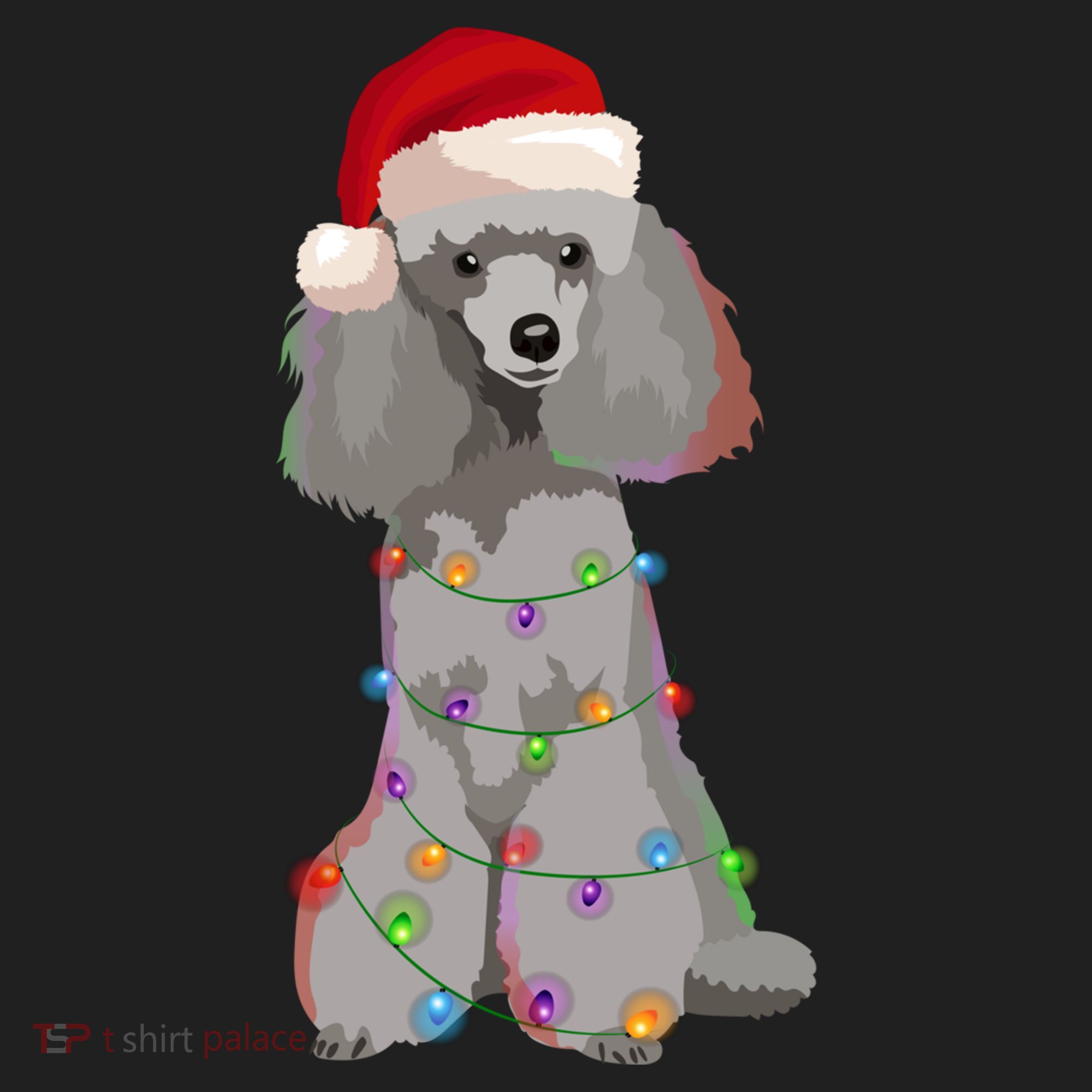 Poodle Christmas Lights Xmas Dog Lover Gift Beanie