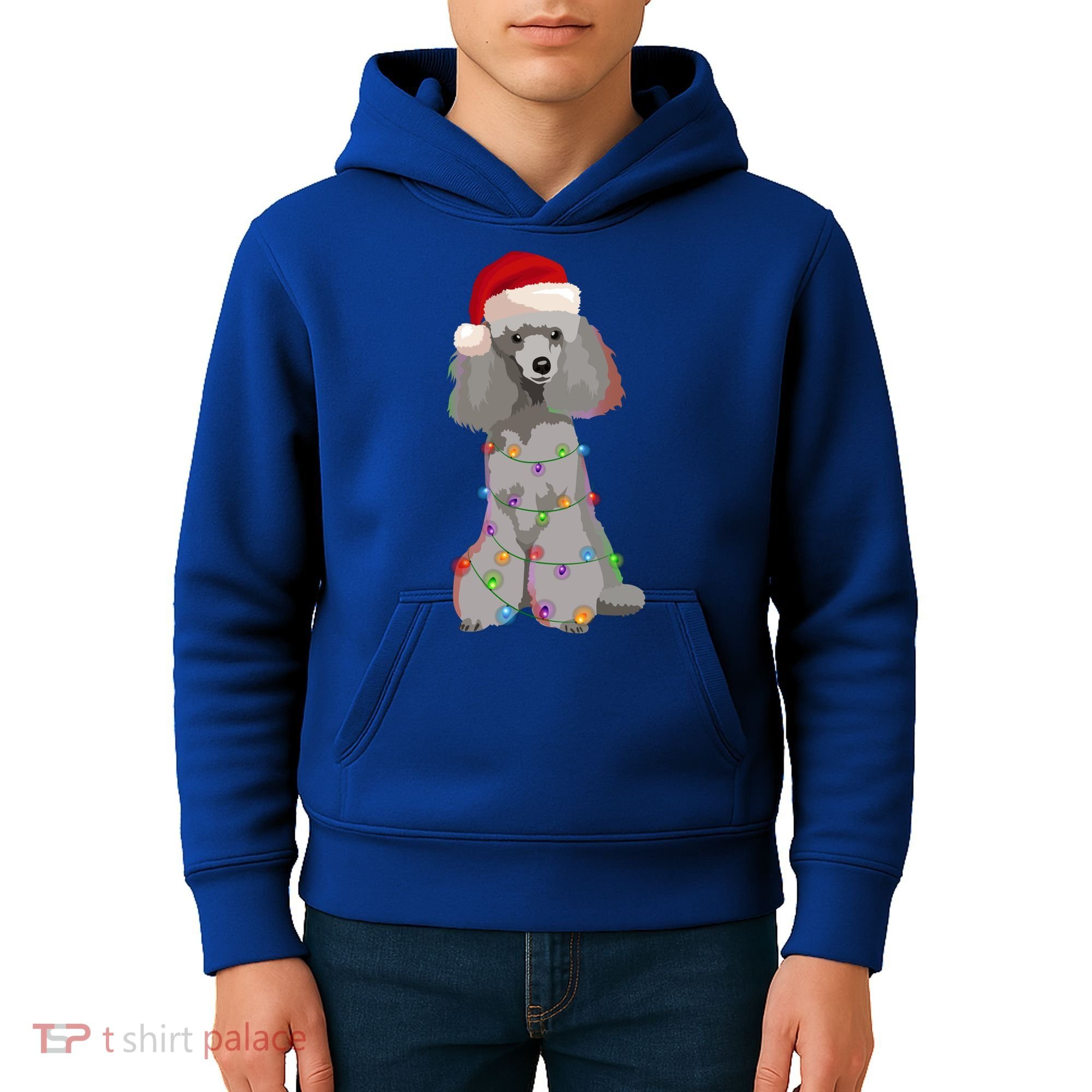 Poodle Christmas Lights Xmas Dog Lover Gift Kids Hoodie