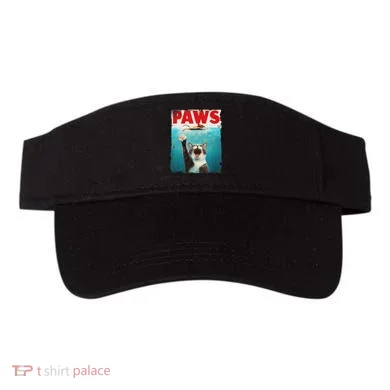 Visor