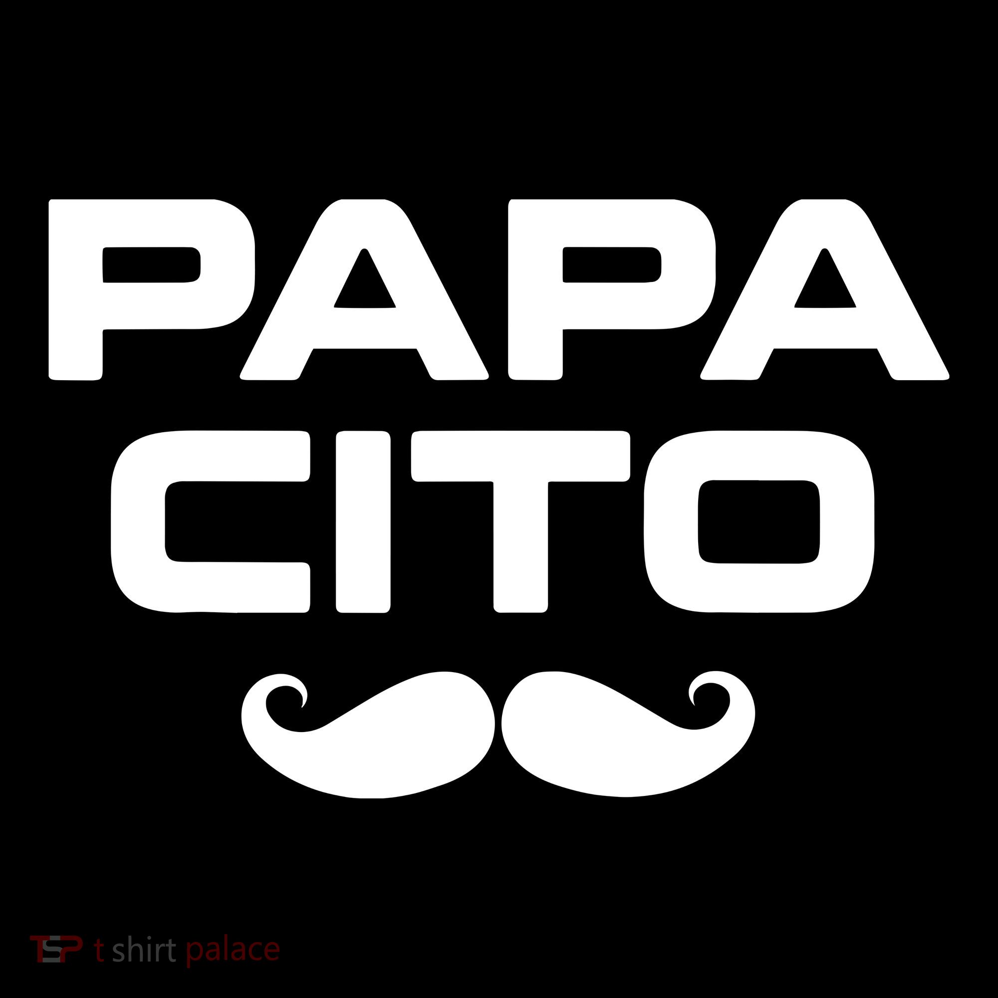 Papa Cito Mexican Sombrero Cinco De Mayo Coaster