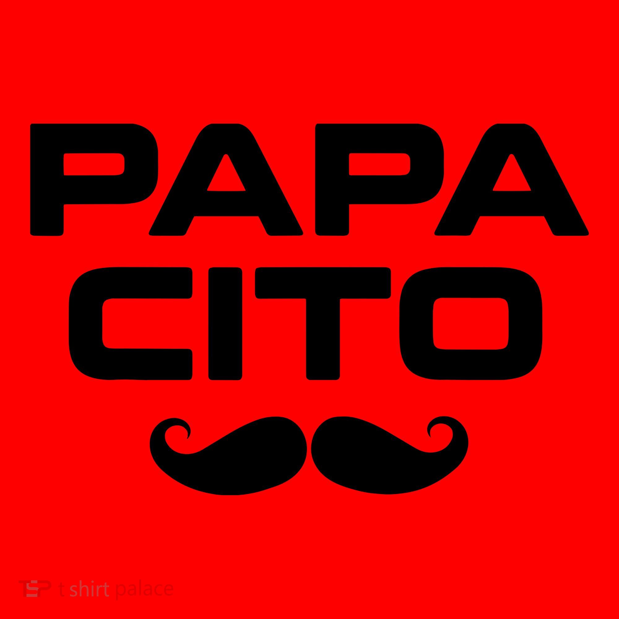 Papa Cito Mexican Sombrero Cinco De Mayo Santa Hat