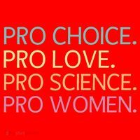 Pro Choice Pro Love Pro Science Pro Women Feminist For Women  Santa Hat thumb 1