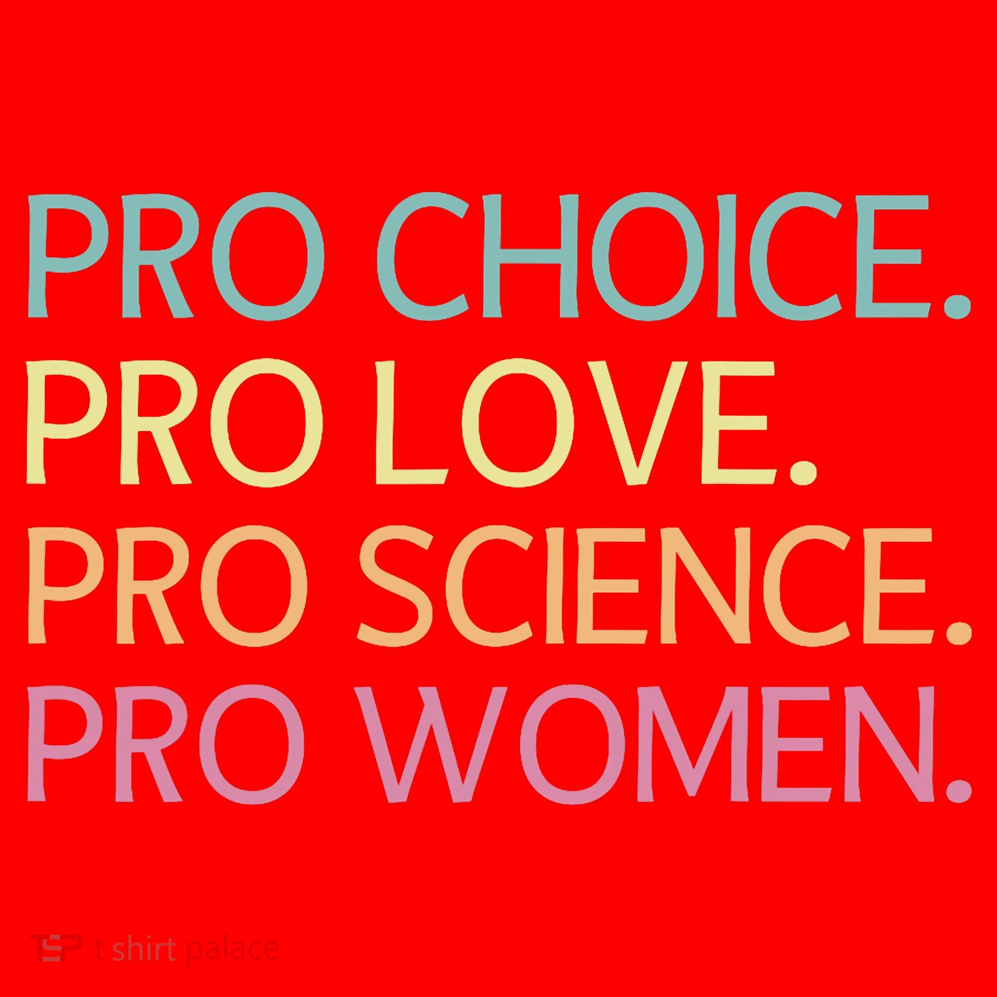 Pro Choice Pro Love Pro Science Pro Women Feminist For Women  Santa Hat