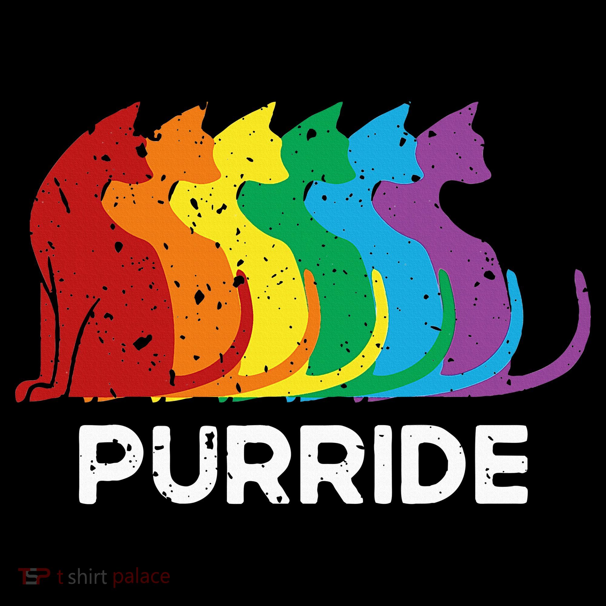 Purride Cat Pride Ally Lgbt Community Rainbow Pride Women's Long Sleeve Shirt