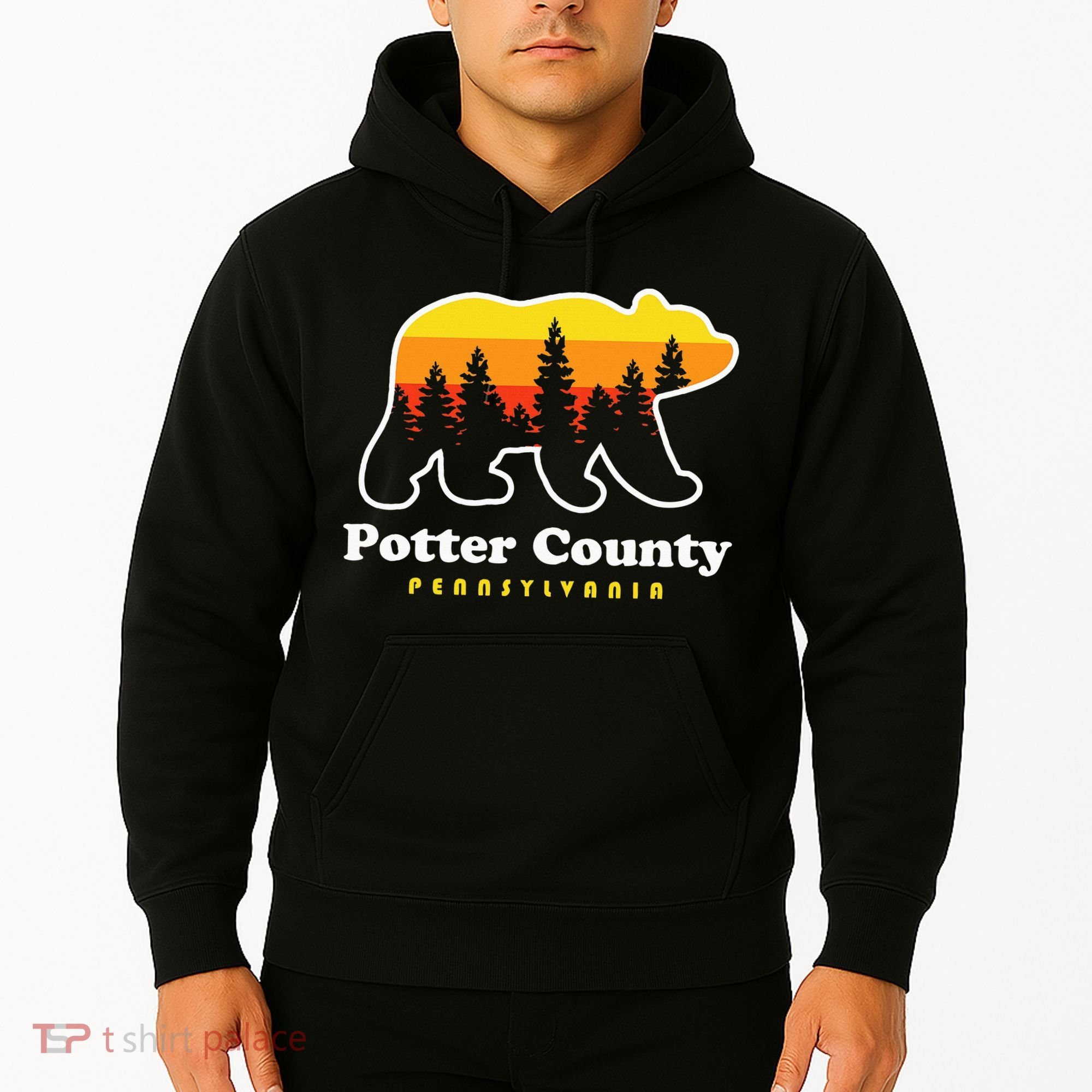 Potter County Pennsylvania Susquehannock State Forest Bear Hoodie