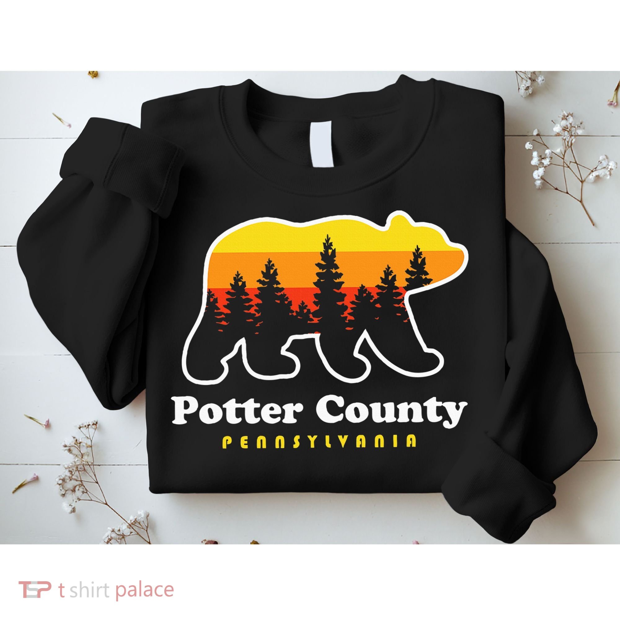Potter County Pennsylvania Susquehannock State Forest Bear Sweatshirt