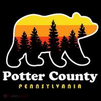 Potter County Pennsylvania Susquehannock State Forest Bear Tank Top thumb 6