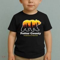 Potter County Pennsylvania Susquehannock State Forest Bear Toddler T-Shirt thumb 2