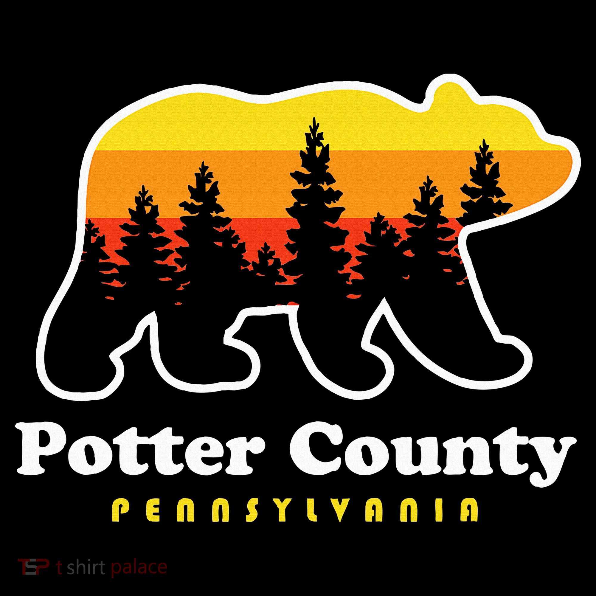 Potter County Pennsylvania Susquehannock State Forest Bear Toddler T-Shirt