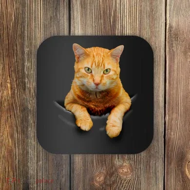 Pocket Cat Coaster
