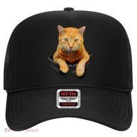 Pocket Cat Hat thumb 0