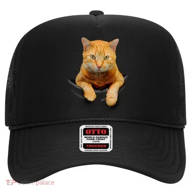 Pocket Cat Hat
