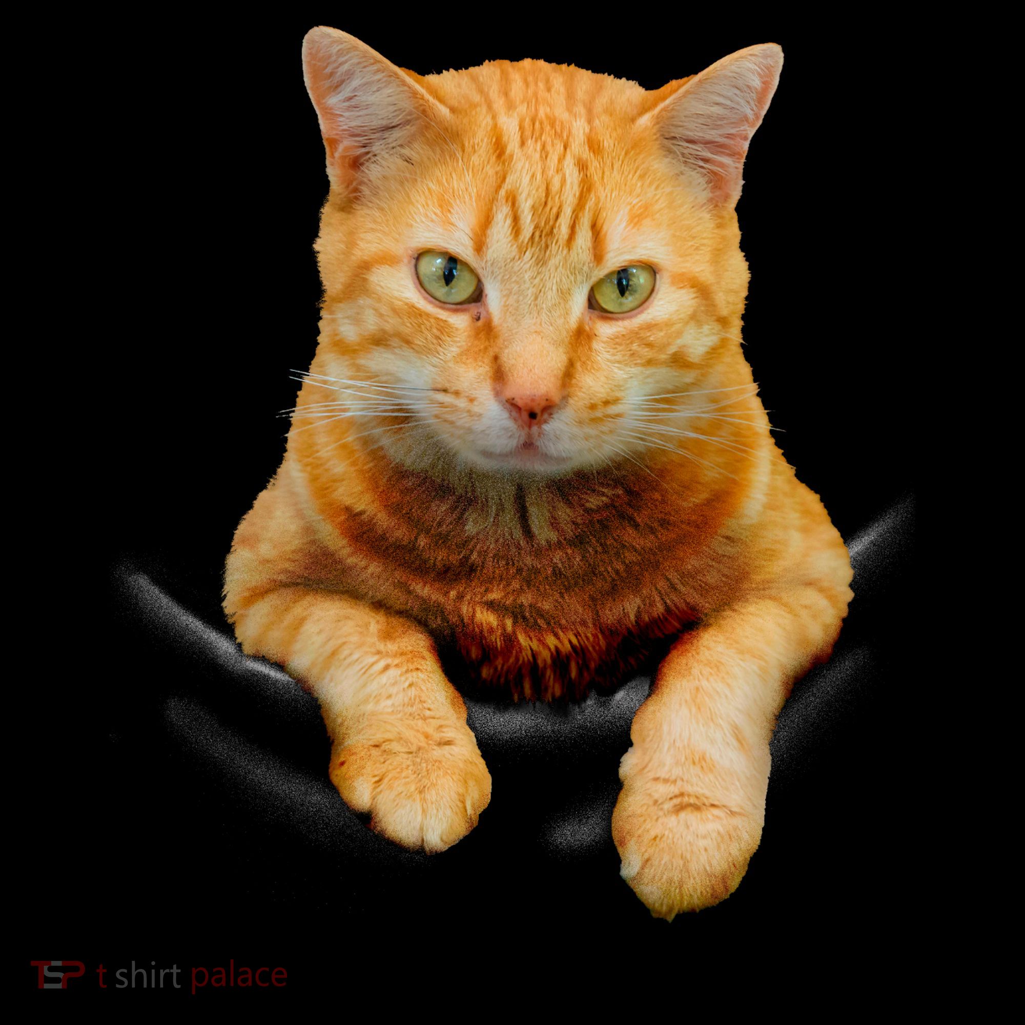 Pocket Cat Tote Bag